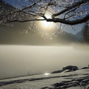 słońce srebrzyste, śnieg